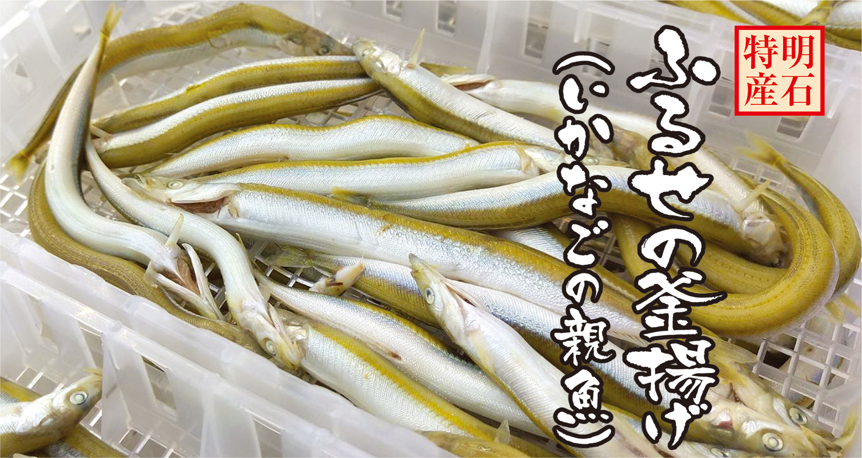 明石市 魚の棚 塩干物専門店 座古海産 公式サイト 兵庫県明石市から選りすぐり本物の味をお届けします